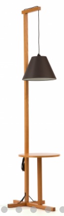 Floor Lamp Table with dark shade