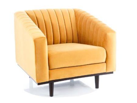 Asprey Velvet 1 armchair