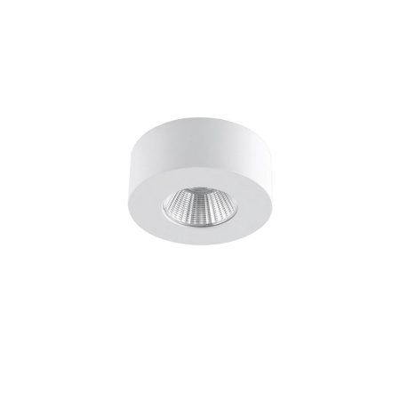 Griestu lampa Fani