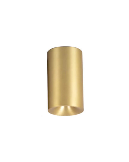 Griestu lampa OREA, zelta IP54