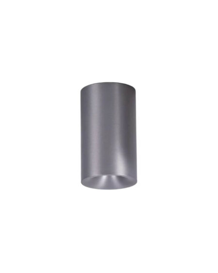 Griestu lampa OREA, sudraba IP54